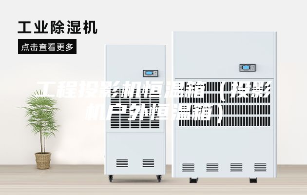 工程投影机恒温箱（投影机户外恒温箱）
