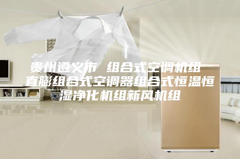 贵州遵义市 组合式空调机组 直膨组合式空调器组合式恒温恒湿净化机组新风机组