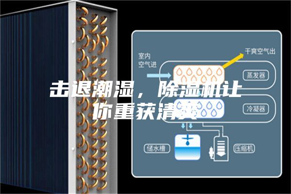 击退潮湿，除湿机让你重获清爽