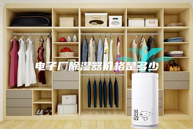 电子厂除湿器价格是多少