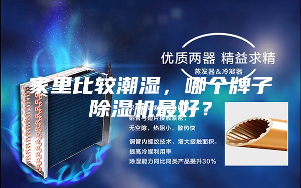 家里比较潮湿，哪个牌子除湿机最好？
