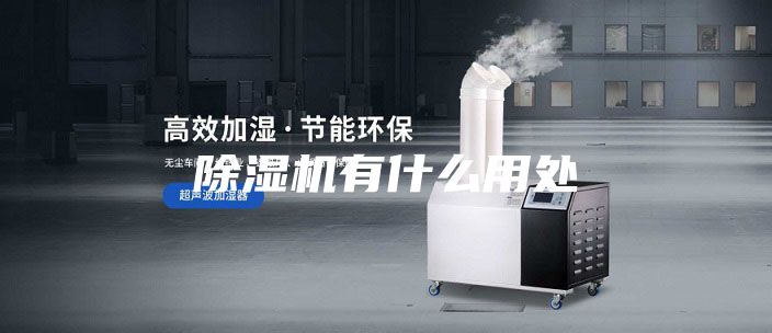 除湿机有什么用处