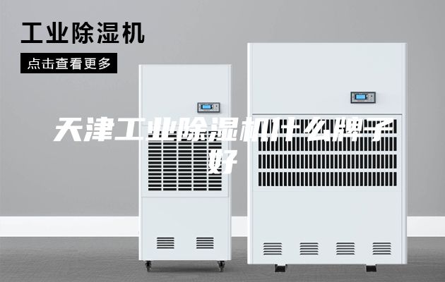 天津工业除湿机什么牌子好