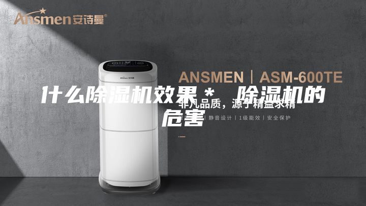 什么除湿机效果＊ 除湿机的危害