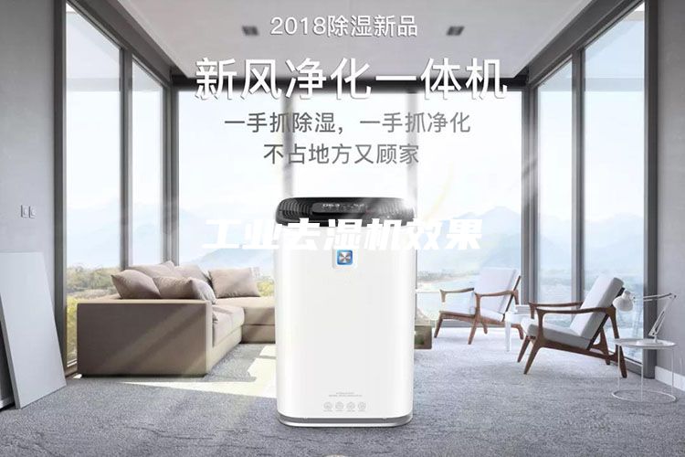 工业去湿机效果