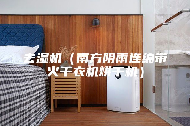 去湿机（南方阴雨连绵带火干衣机烘干机）