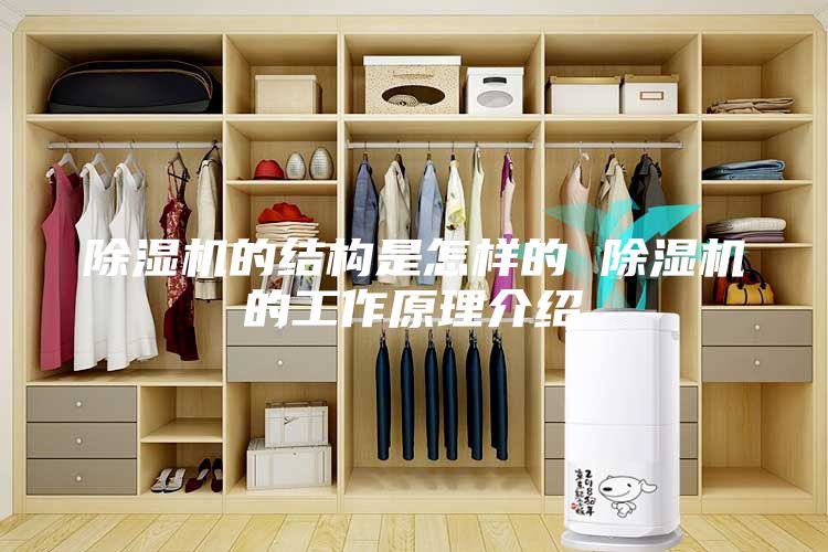 除湿机的结构是怎样的 除湿机的工作原理介绍