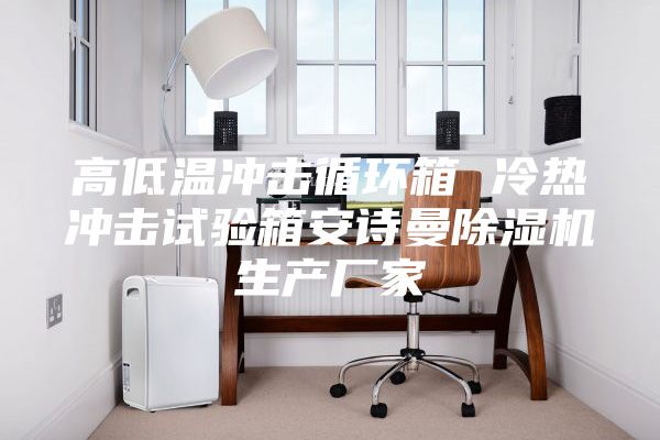 高低温冲击循环箱 冷热冲击试验箱安诗曼除湿机生产厂家