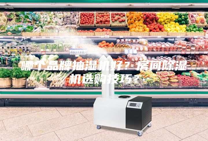 哪个品牌抽湿机好？房间除湿机选购技巧？