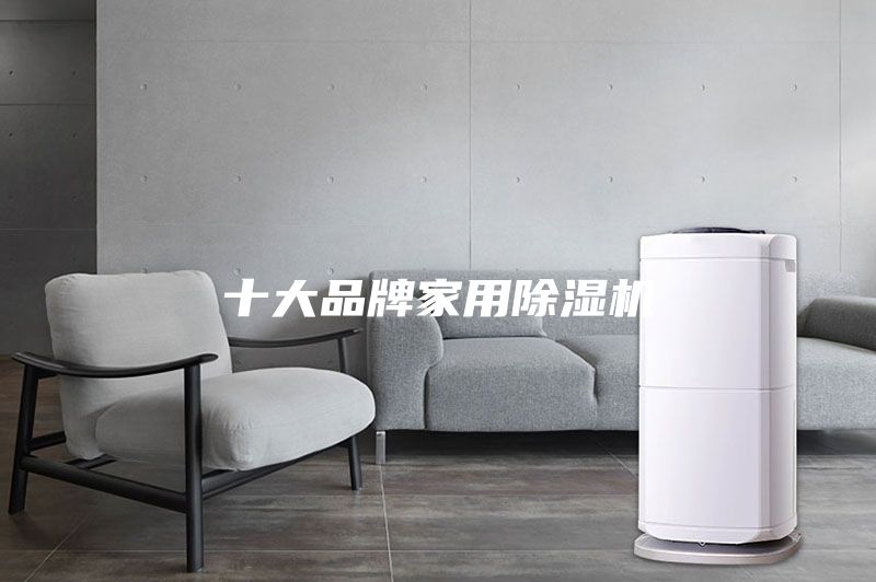 十大品牌家用除湿机