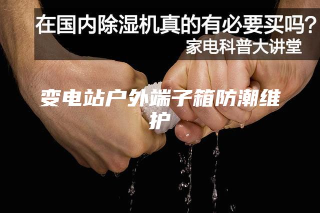 变电站户外端子箱防潮维护