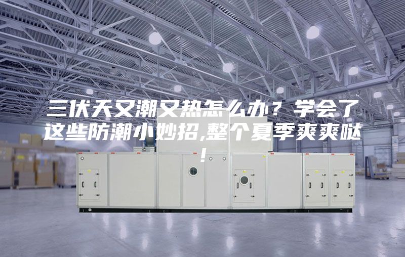 三伏天又潮又热怎么办？学会了这些防潮小妙招,整个夏季爽爽哒!