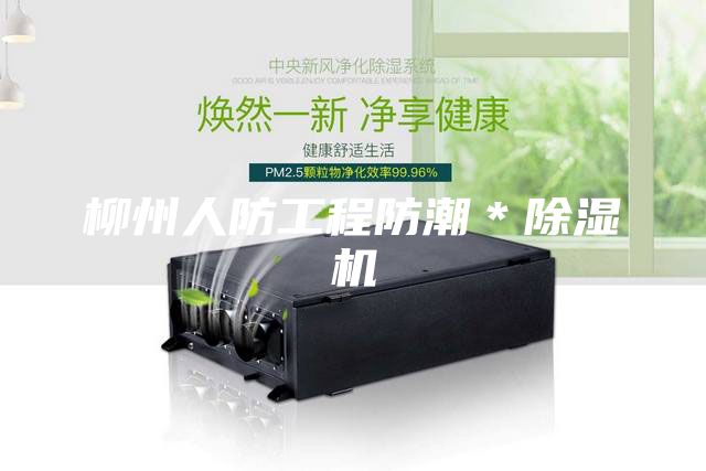 柳州人防工程防潮＊除湿机
