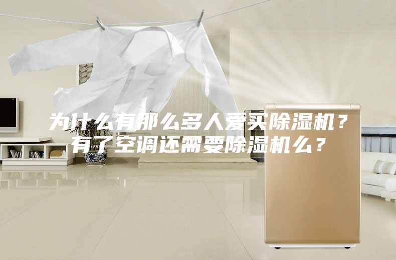 为什么有那么多人爱买除湿机？有了空调还需要除湿机么？