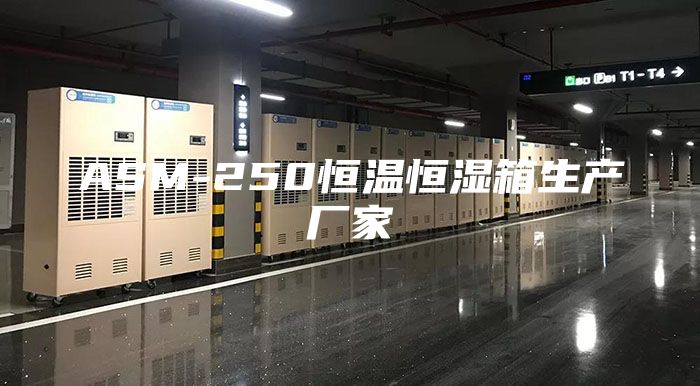 ASM-250恒温恒湿箱生产厂家