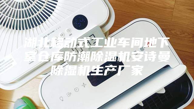 湖北移动式工业车间地下室仓库防潮除湿机安诗曼除湿机生产厂家