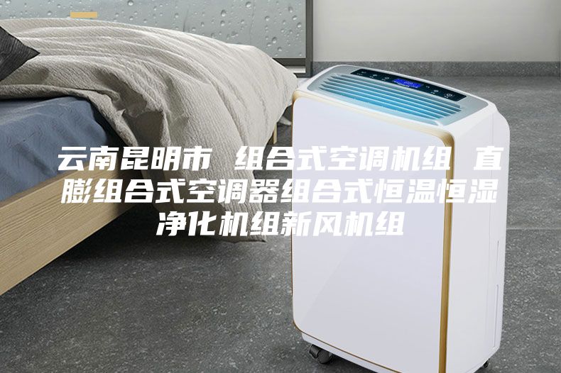 云南昆明市 组合式空调机组 直膨组合式空调器组合式恒温恒湿净化机组新风机组