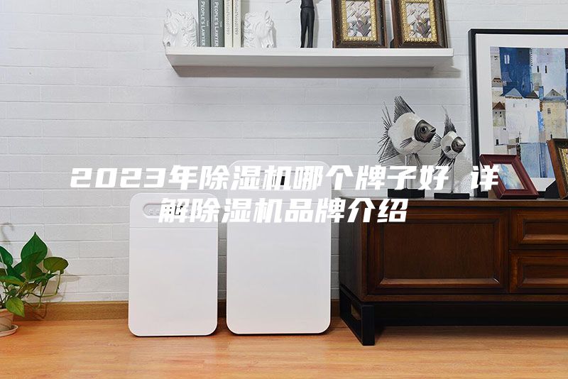 2023年除湿机哪个牌子好 详解除湿机品牌介绍