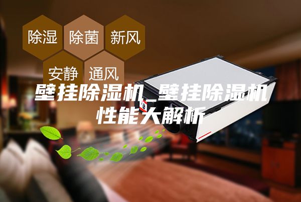 壁挂除湿机_壁挂除湿机性能大解析