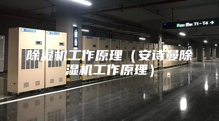 除湿机工作原理（安诗曼除湿机工作原理）