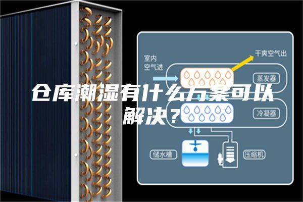 仓库潮湿有什么方案可以解决？