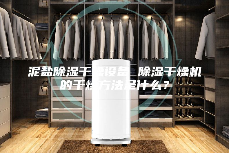 泥盐除湿干燥设备 除湿干燥机的干燥方法是什么？