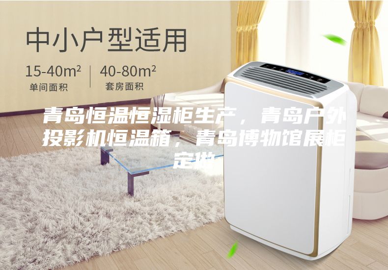 青岛恒温恒湿柜生产，青岛户外投影机恒温箱，青岛博物馆展柜定做