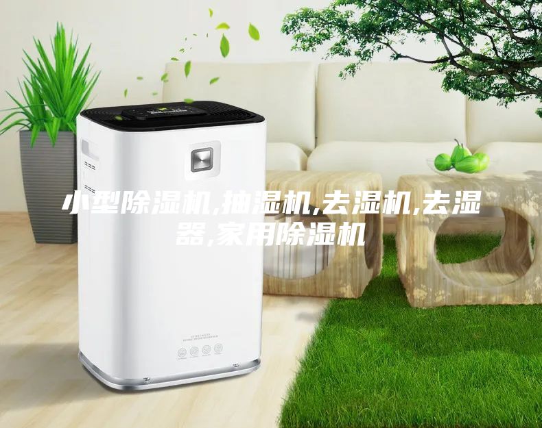 小型除湿机,抽湿机,去湿机,去湿器,家用除湿机
