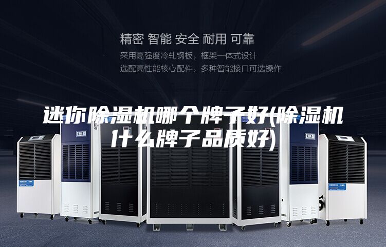 迷你除湿机哪个牌子好(除湿机什么牌子品质好)
