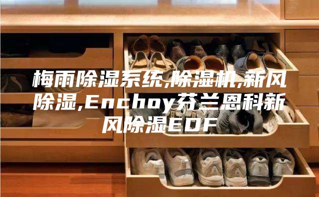 梅雨除湿系统,除湿机,新风除湿,Enchoy芬兰恩科新风除湿EDF