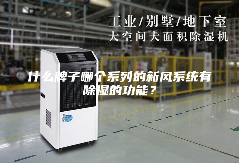 什么牌子哪个系列的新风系统有除湿的功能？