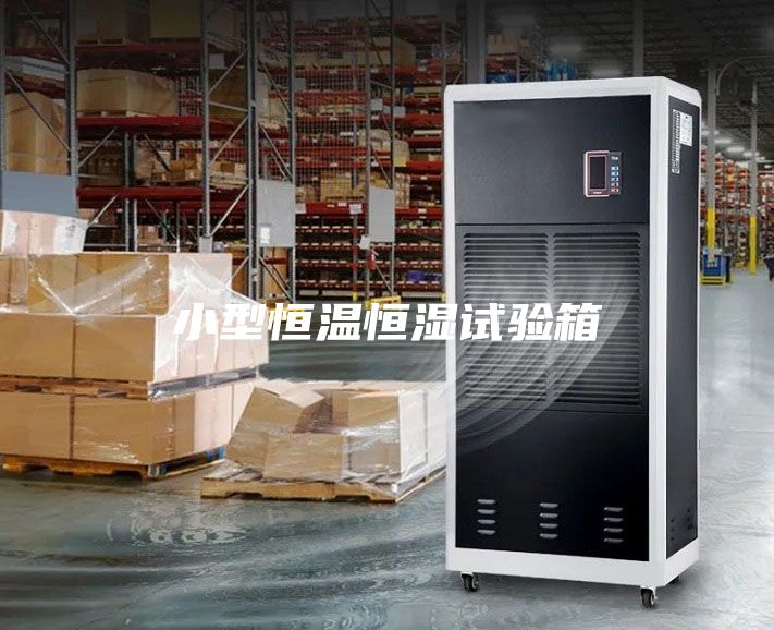 小型恒温恒湿试验箱