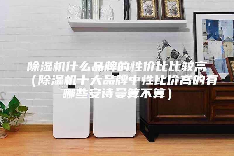 除湿机什么品牌的性价比比较高（除湿机十大品牌中性比价高的有哪些安诗曼算不算）