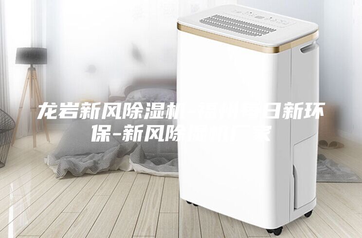 龙岩新风除湿机-福州每日新环保-新风除湿机厂家