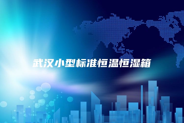 武汉小型标准恒温恒湿箱