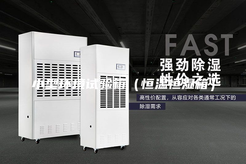 小型环境试验箱（恒温恒湿箱）