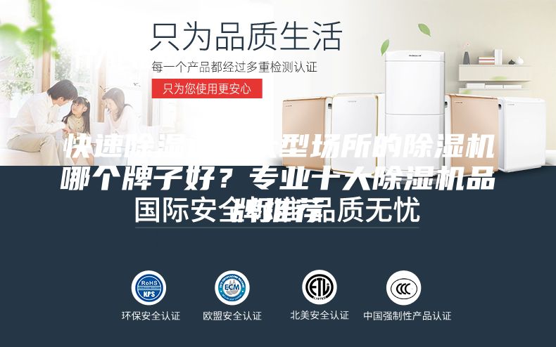 快速除湿适合大型场所的除湿机哪个牌子好？专业十大除湿机品牌推荐