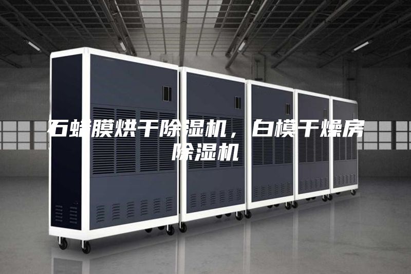 石蜡膜烘干除湿机，白模干燥房除湿机