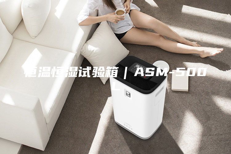 恒温恒湿试验箱｜ASM-500L