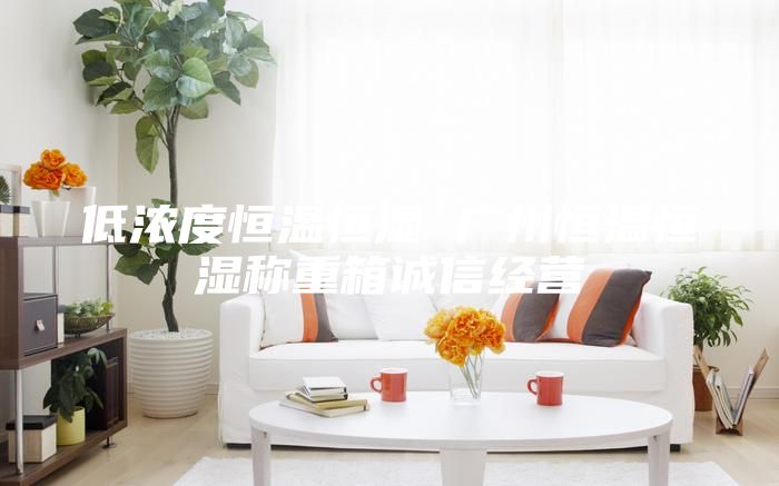 低浓度恒温恒湿 广州恒温恒湿称重箱诚信经营