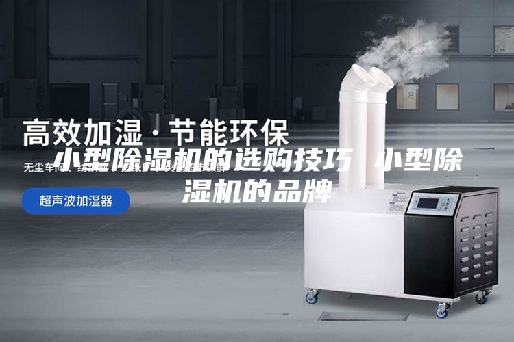 小型除湿机的选购技巧 小型除湿机的品牌