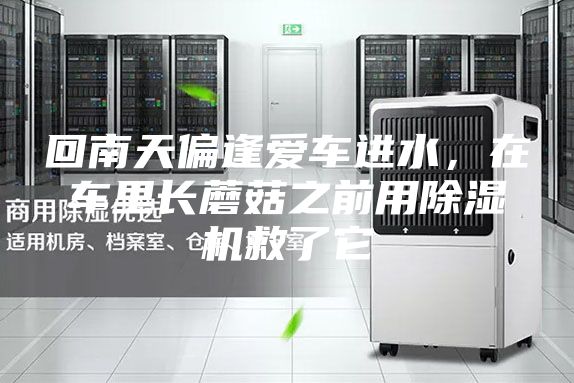 回南天偏逢爱车进水，在车里长蘑菇之前用除湿机救了它
