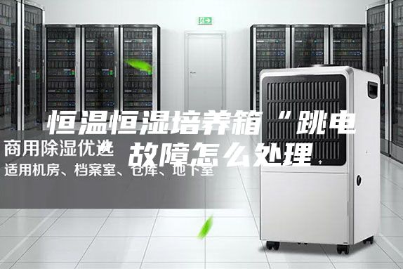恒温恒湿培养箱“跳电”故障怎么处理