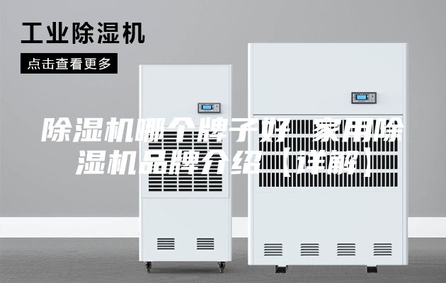 除湿机哪个牌子好 家用除湿机品牌介绍【详解】