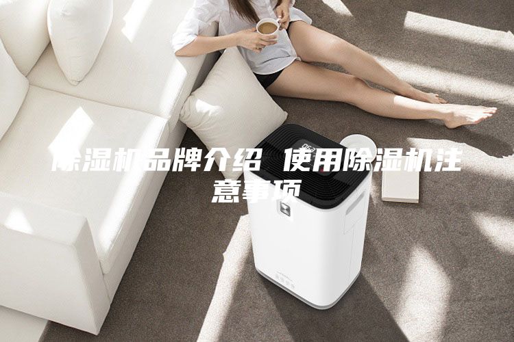 除湿机品牌介绍 使用除湿机注意事项