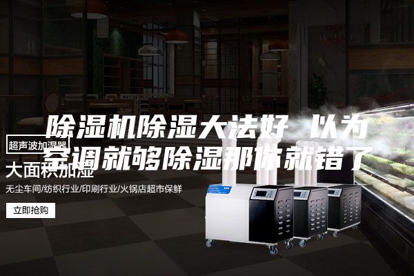 除湿机除湿大法好 以为空调就够除湿那你就错了
