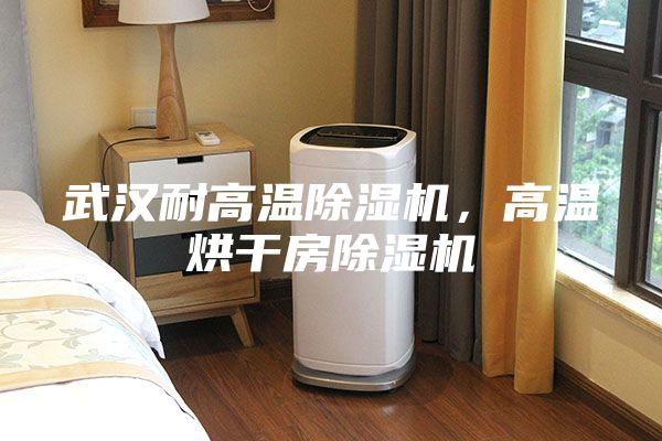 武汉耐高温除湿机，高温烘干房除湿机