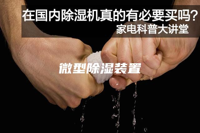 微型除湿装置