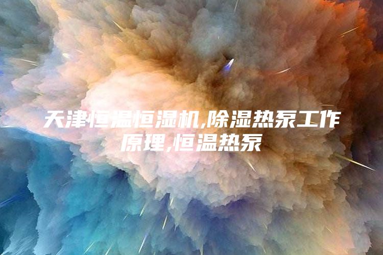 天津恒温恒湿机,除湿热泵工作原理,恒温热泵