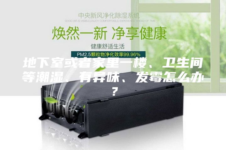 地下室或者家里一楼、卫生间等潮湿、有异味、发霉怎么办？